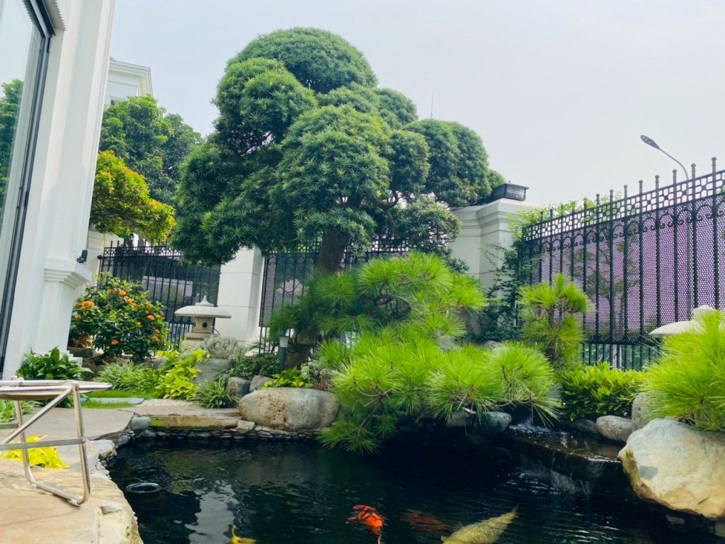 Vườn việt thự đẹp Hà Nội
