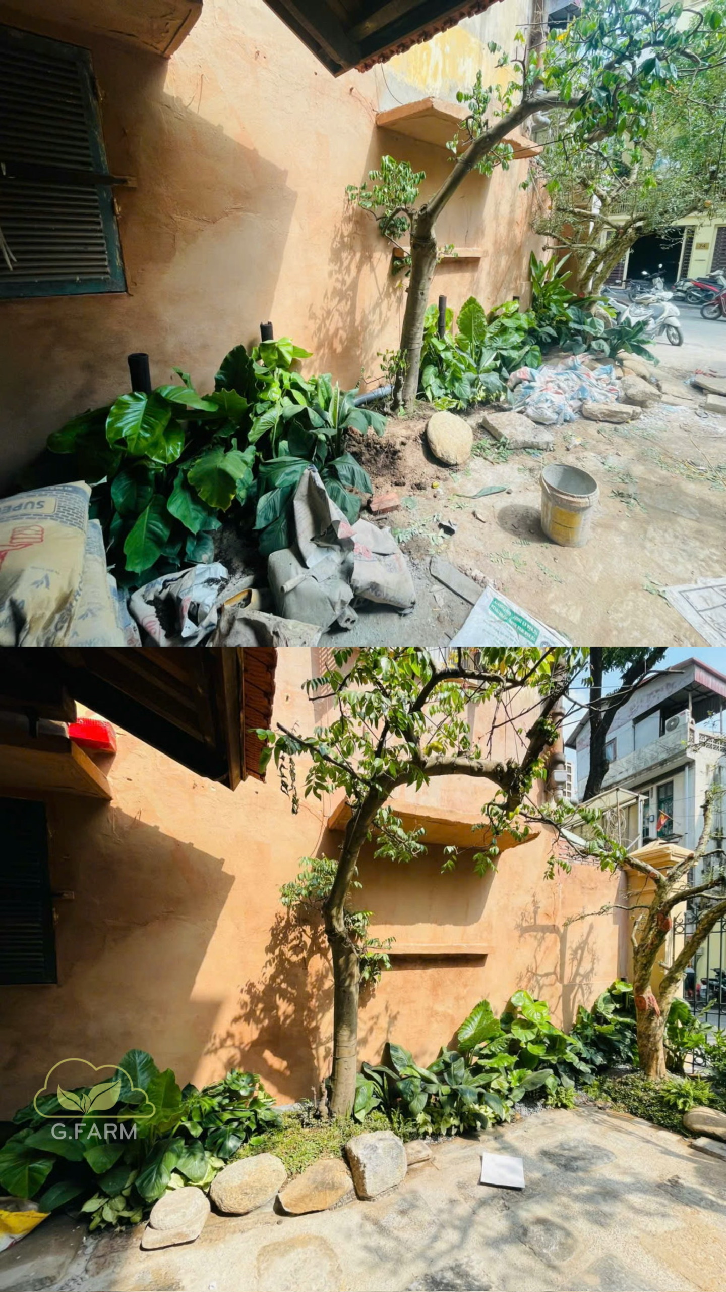 tiểu cảnh sân vườn cofe