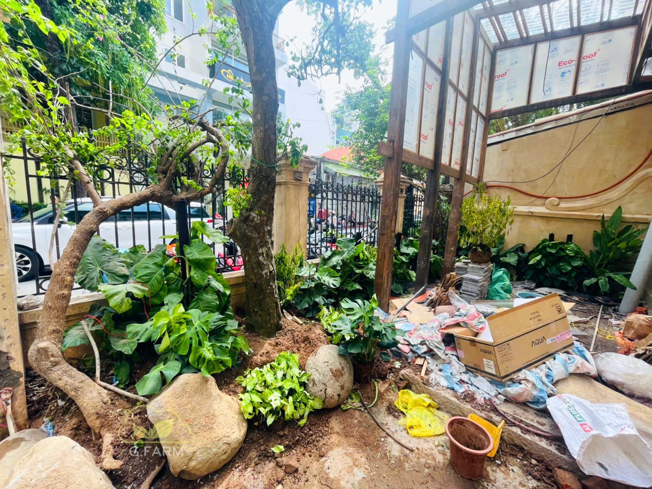 tiểu cảnh sân vườn