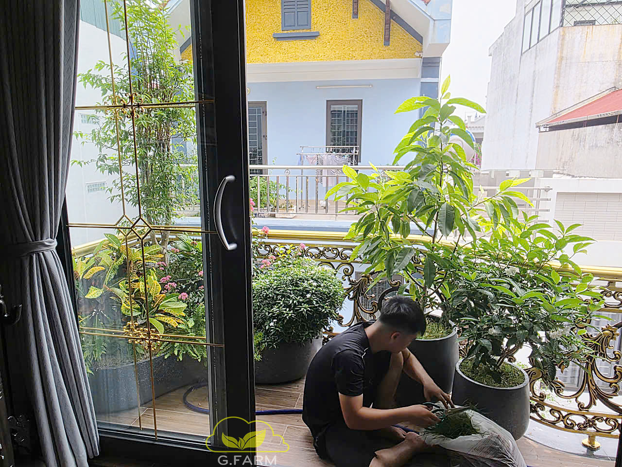 Thiết kế tiểu cảnh ban công Quảng Ninh
