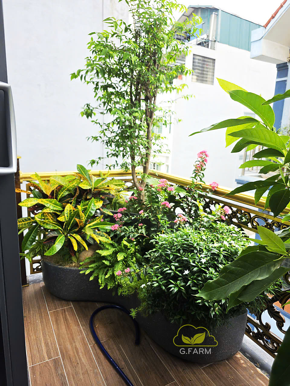 Sân vườn nhà phố