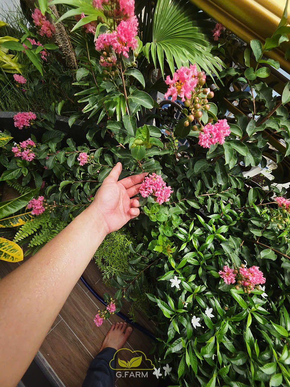 Thiết kế ban công đẹp