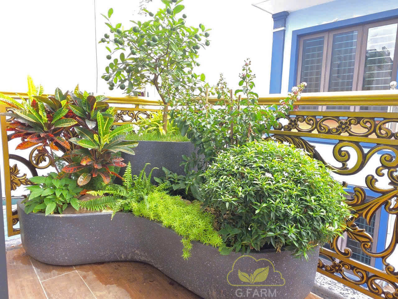 tiểu cảnh ban công cây xanh đẹp tại Tư Đình, Long Biên