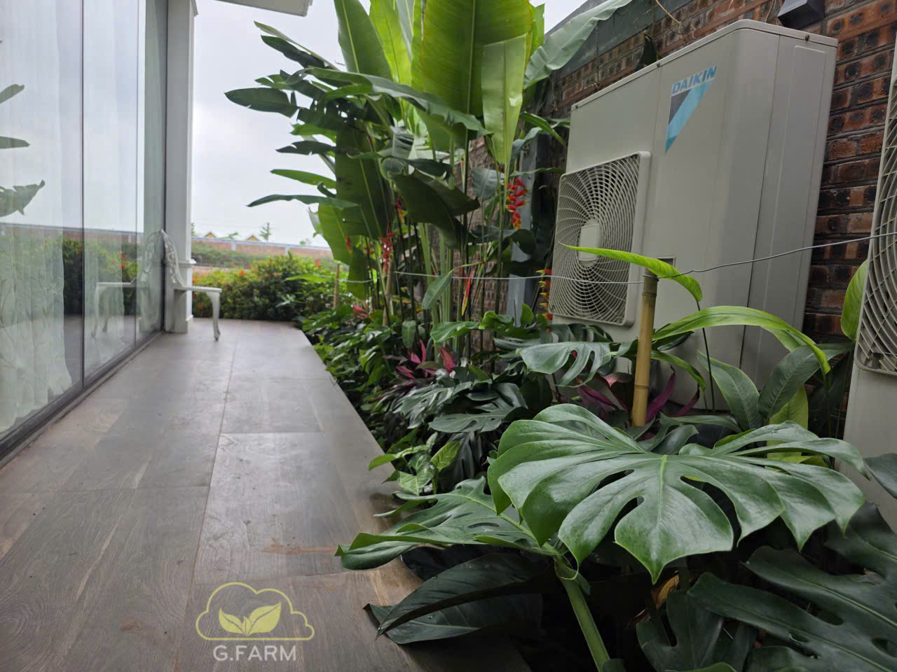 Sân vườn đẹp nhà Việt tại Thái Bình 