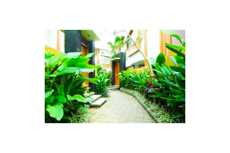 Thiết kế và Thi công dự án sân vườn Biệt thự 90m2 - Vườn tropical