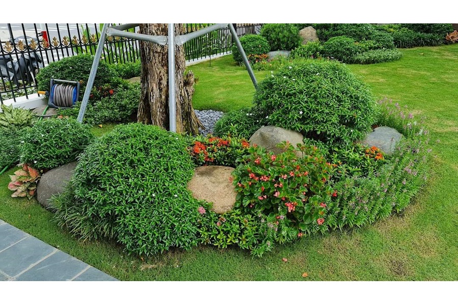 Mẫu thiết kế sân vườn Biệt thự - Phong cách Phối hợp (Mã GF50)