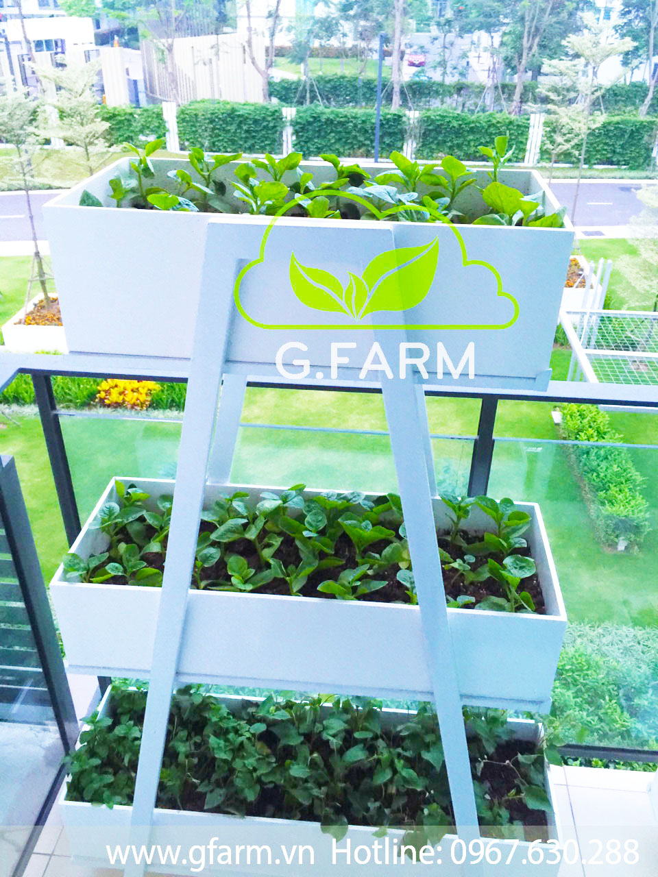 Thiết kế vườn rau trên sân thượng tại Hà nội