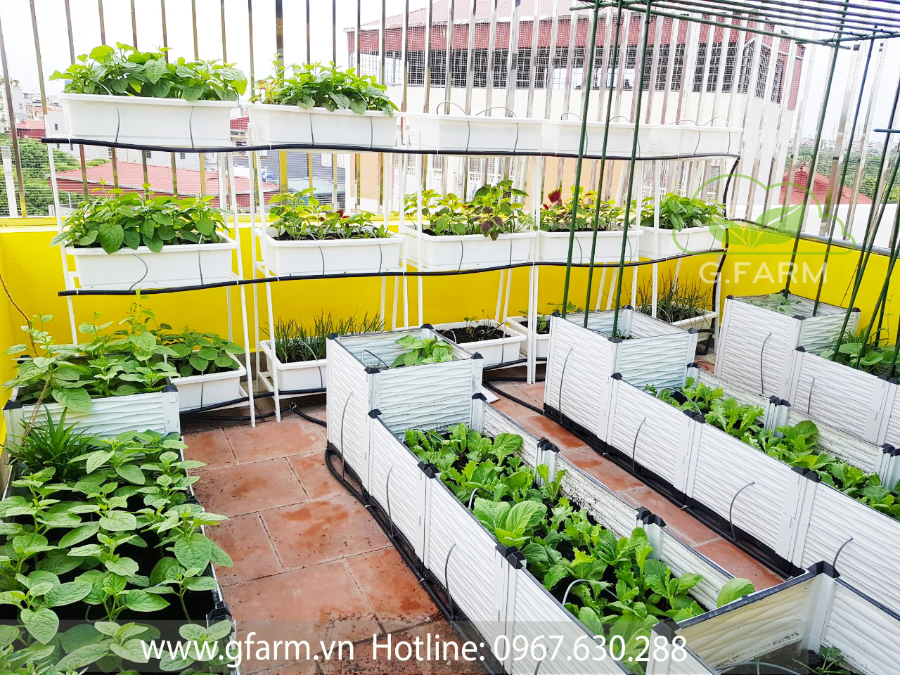 Top 50 mẫu thiết kế vườn rau trên sân thượng đẹp nhất