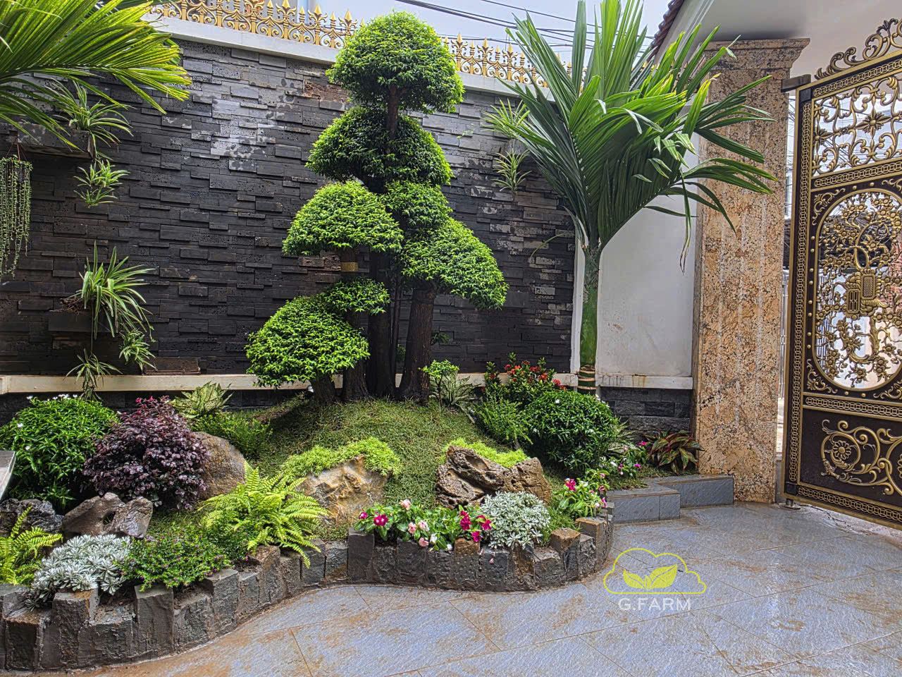 Thiết kế tiểu cảnh sân vườn đẹp hà đông hà nội