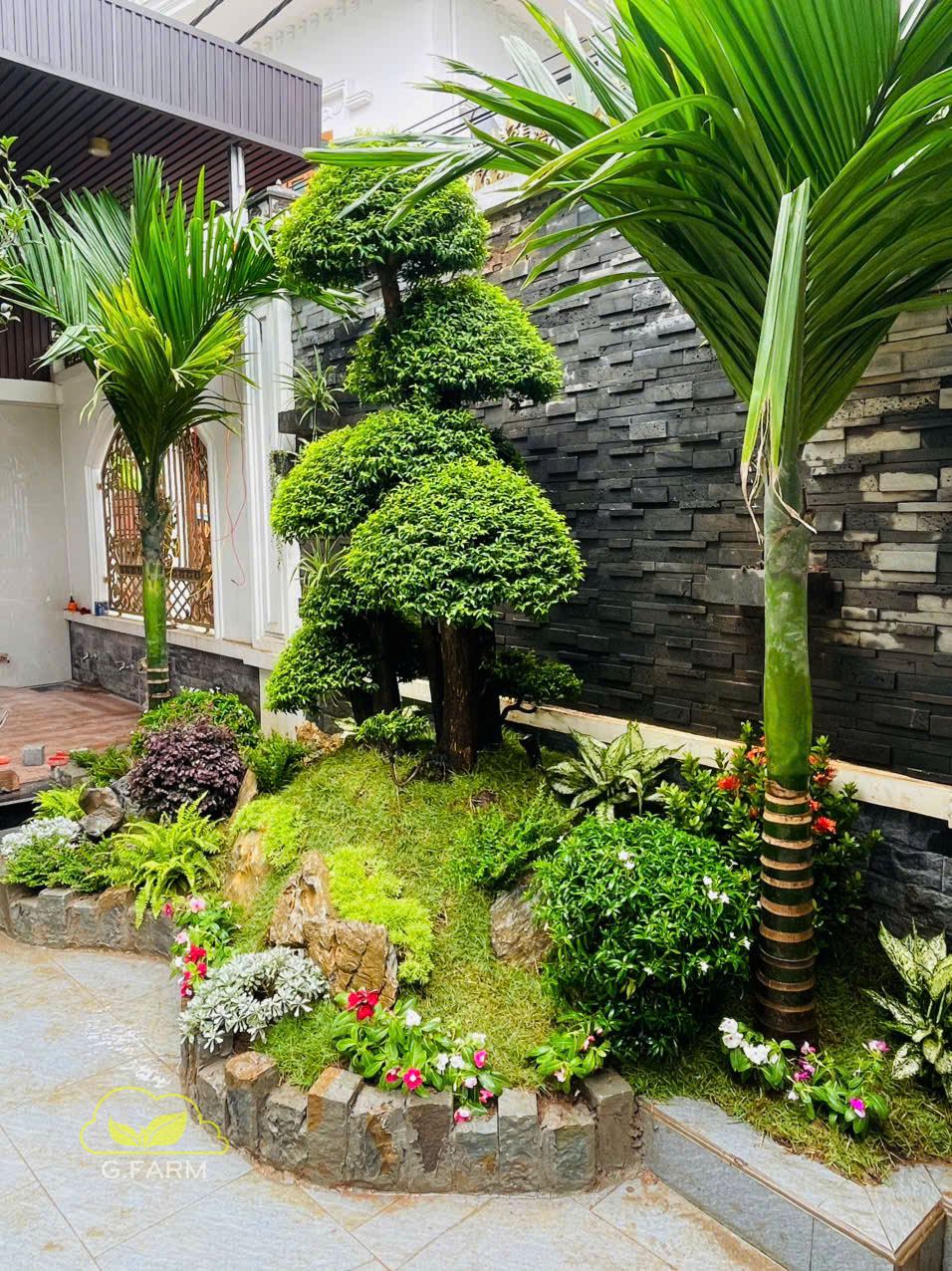 Thiết kế tiểu cảnh sân vườn đẹp hà đông hà nội