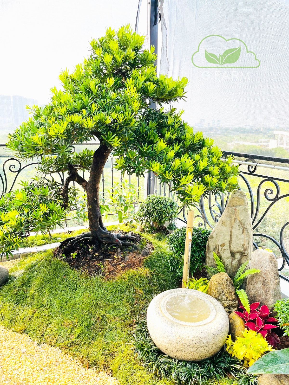 Thiết kế sân vườn đẹp