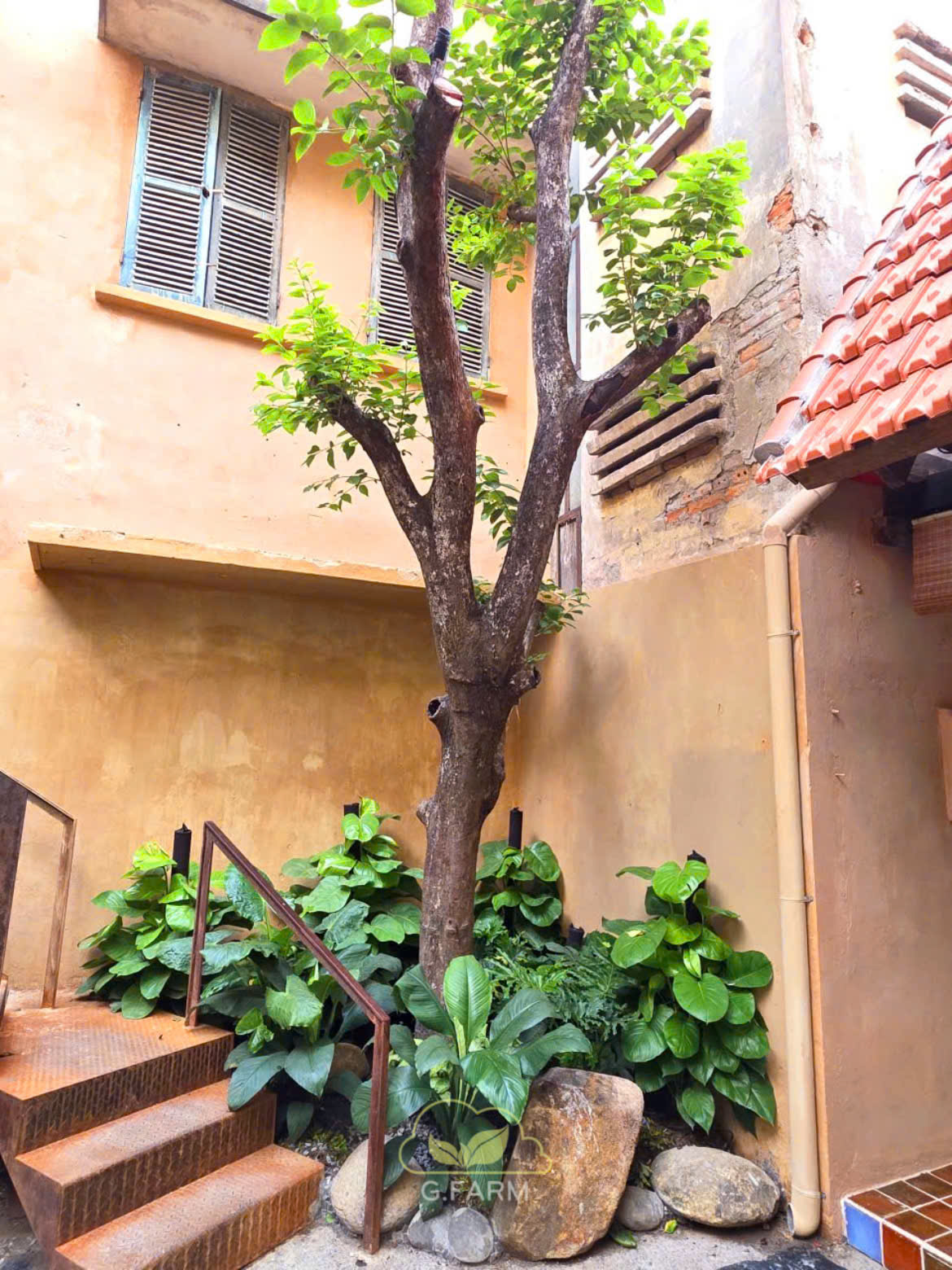 Sân vườn nhà phố