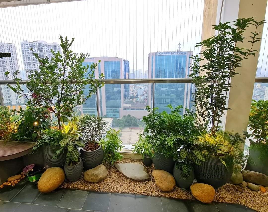 Thiết kế thi công vườn tiểu cảnh A Đức Ecopark