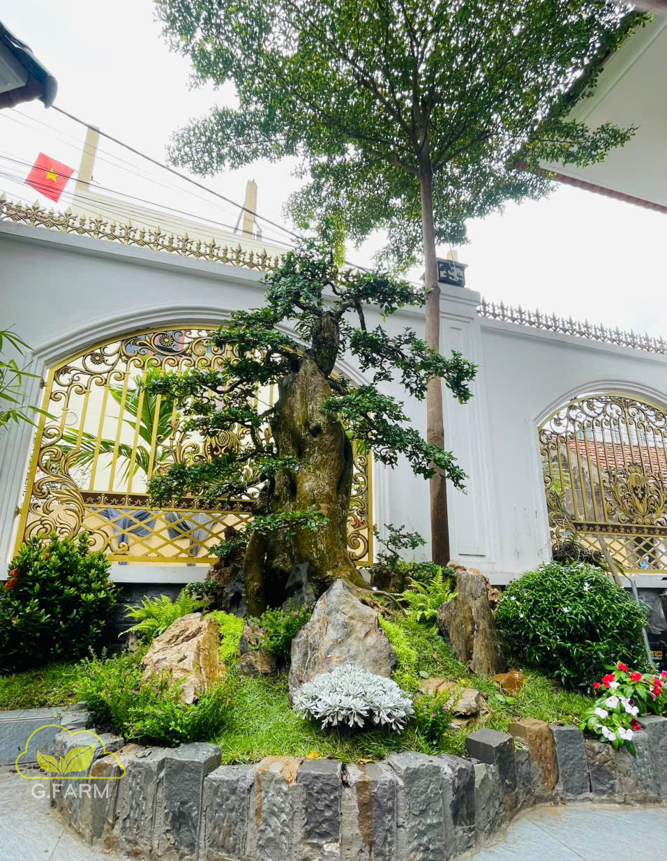 Sân vườn nhà phố