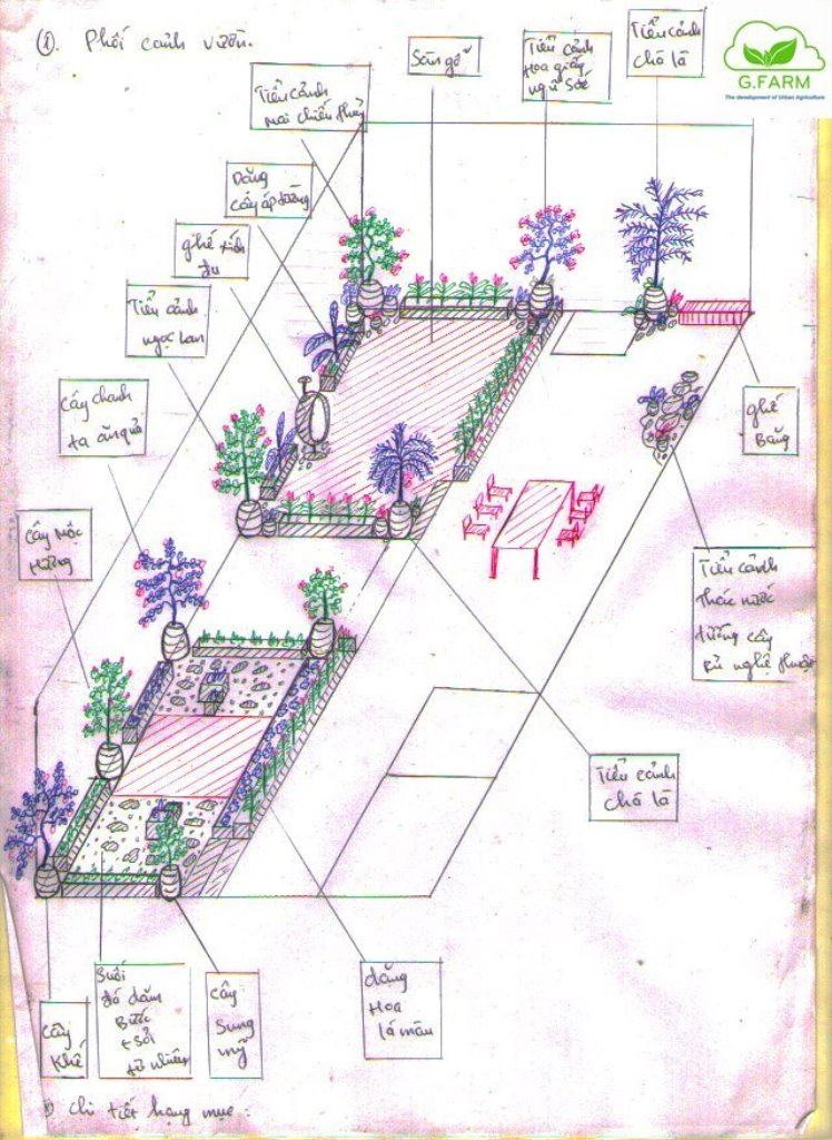 thiet-ke-vuon-san-thuong