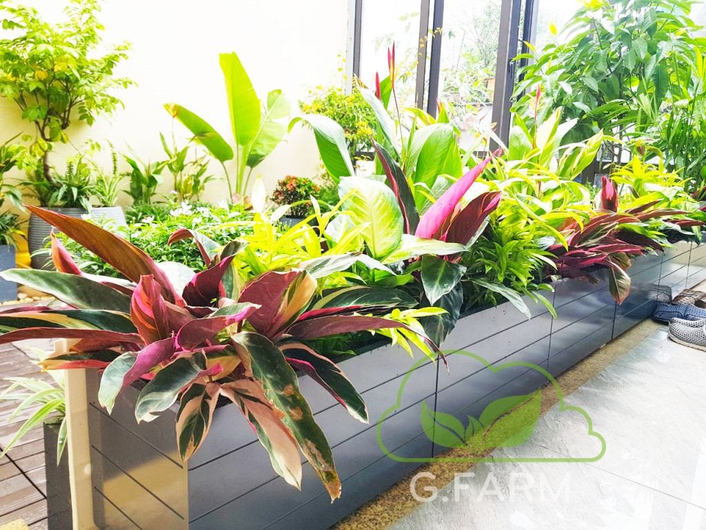 Sân vườn Anh Hưng Huỳnh Thúc Kháng