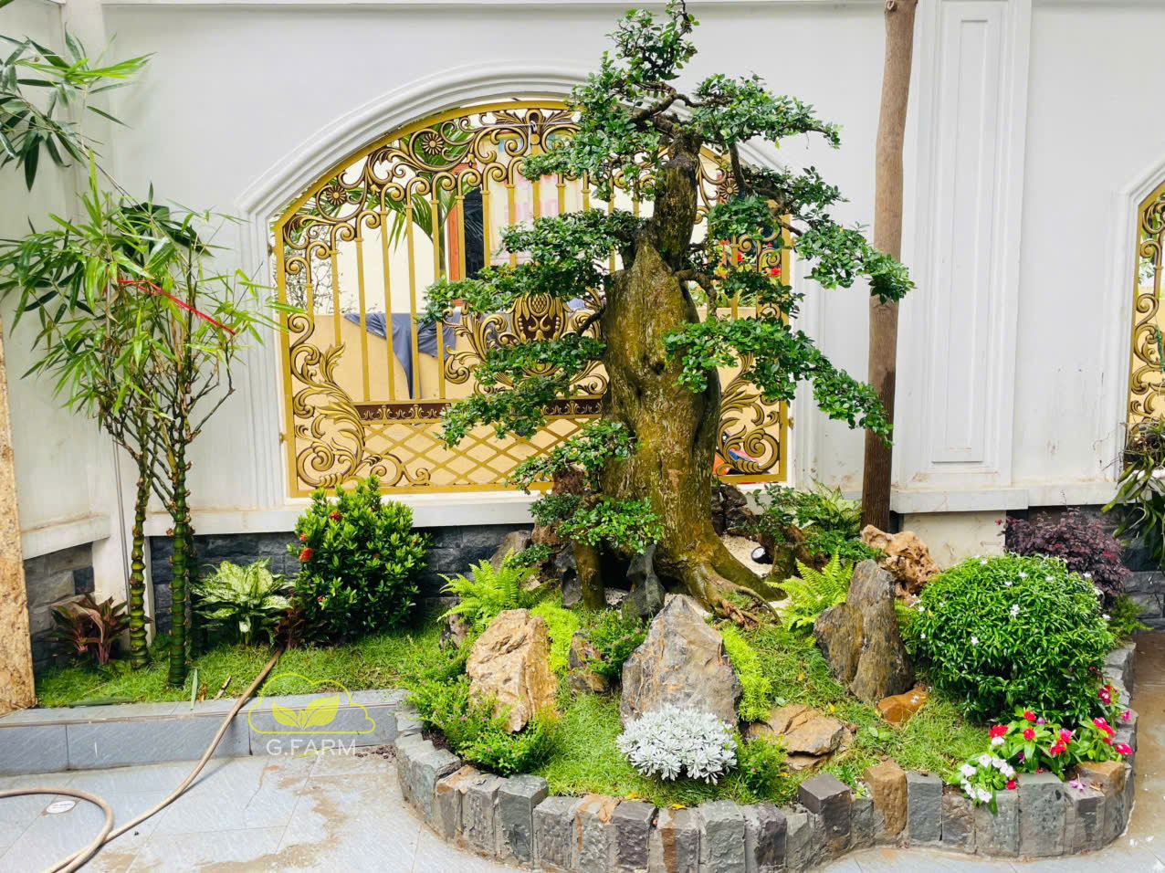 Tiểu cảnh sân vườn đẹp tại Hà Đông - Hà Nội 