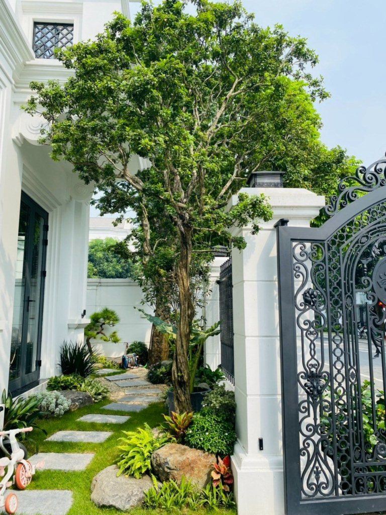 Vườn việt thự đẹp Hà Nội
