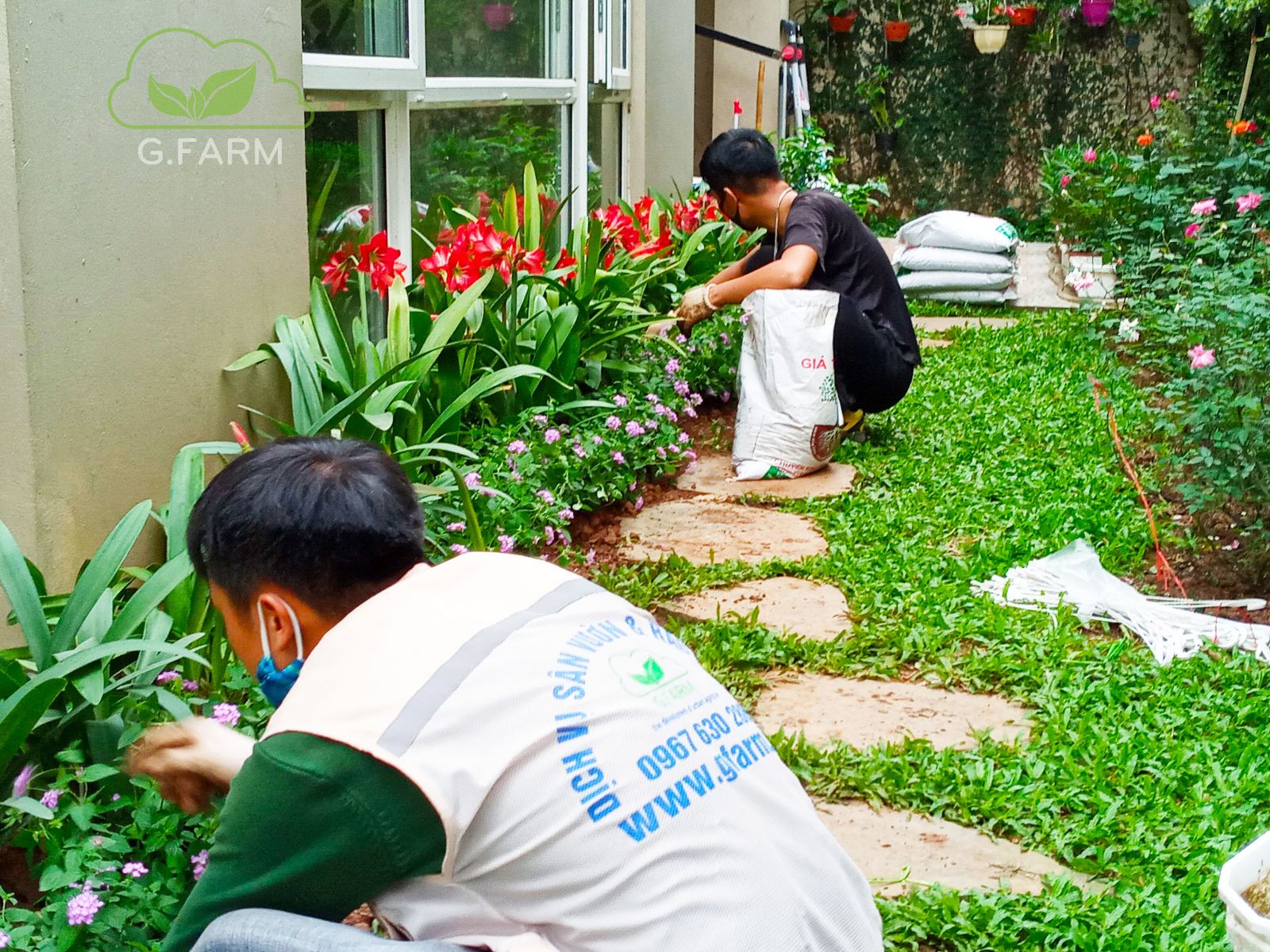 Thi công sân vườn uy tín tại Hà nội