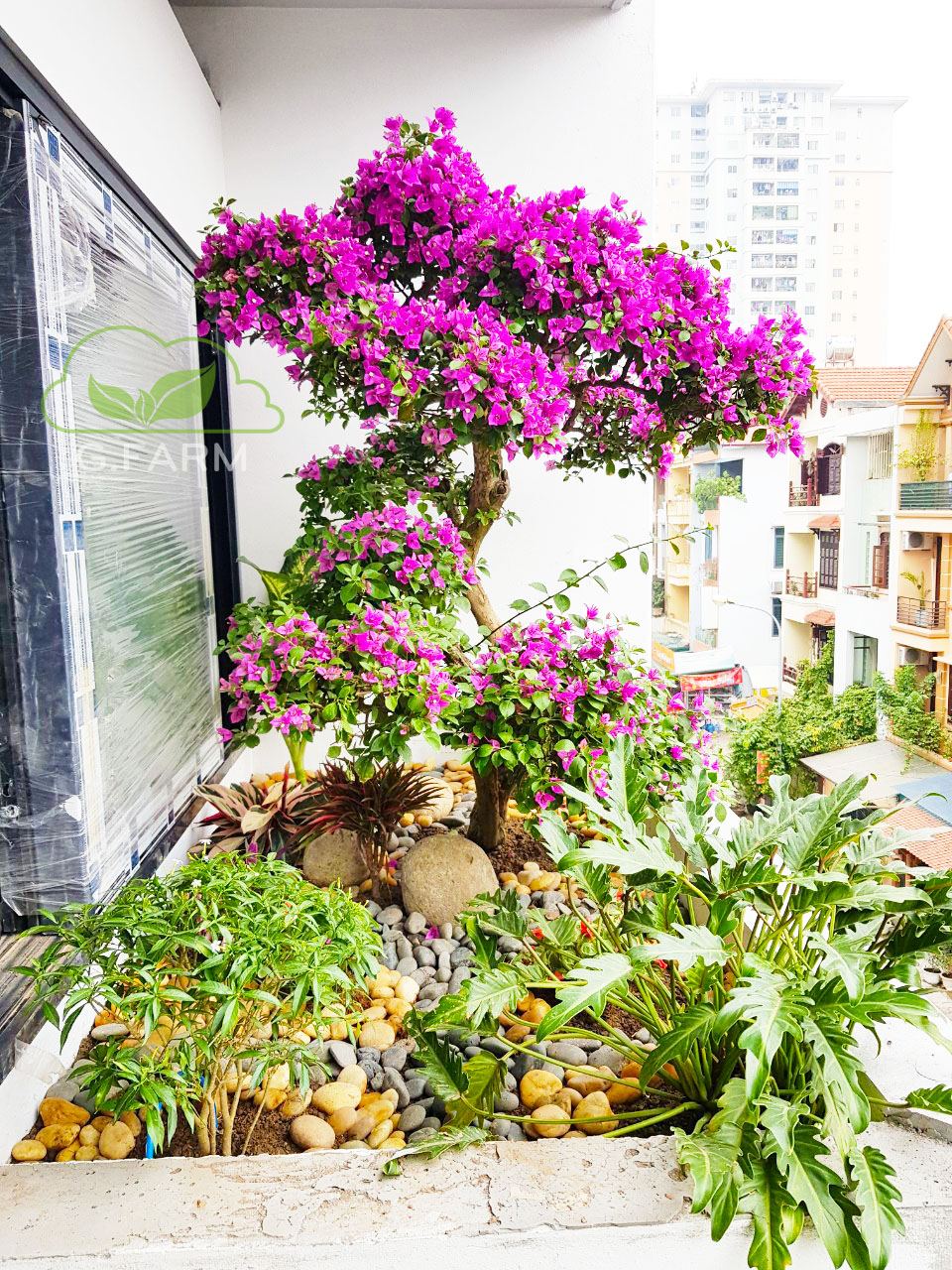 thi công sân vườn uy tín tại Hà nội