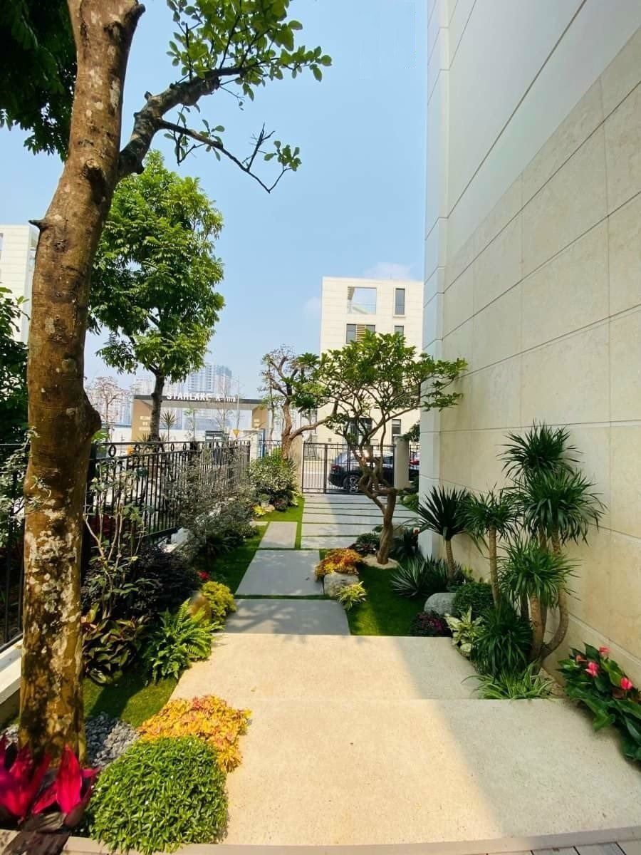 thiết kế sân vườn nhỏ