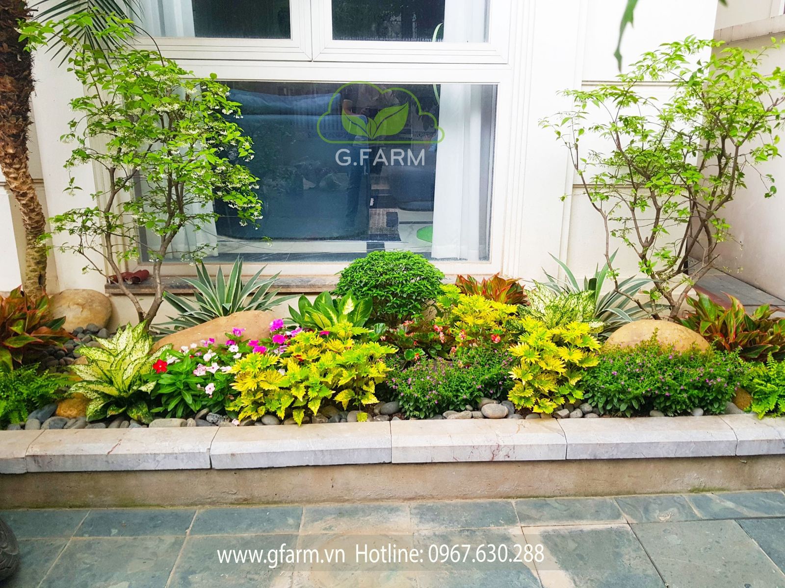 thiết kế sân vườn nhỏ