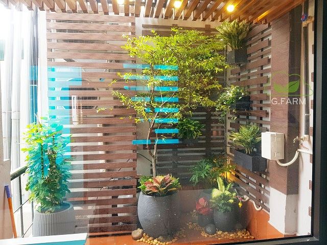 Thiết kế không gian xanh cho ban công tuyệt đẹp