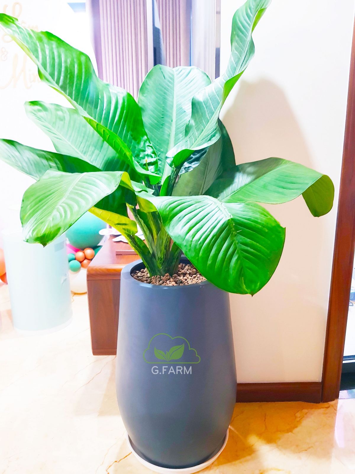 Thiết kế và thi công không gian xanh ban công