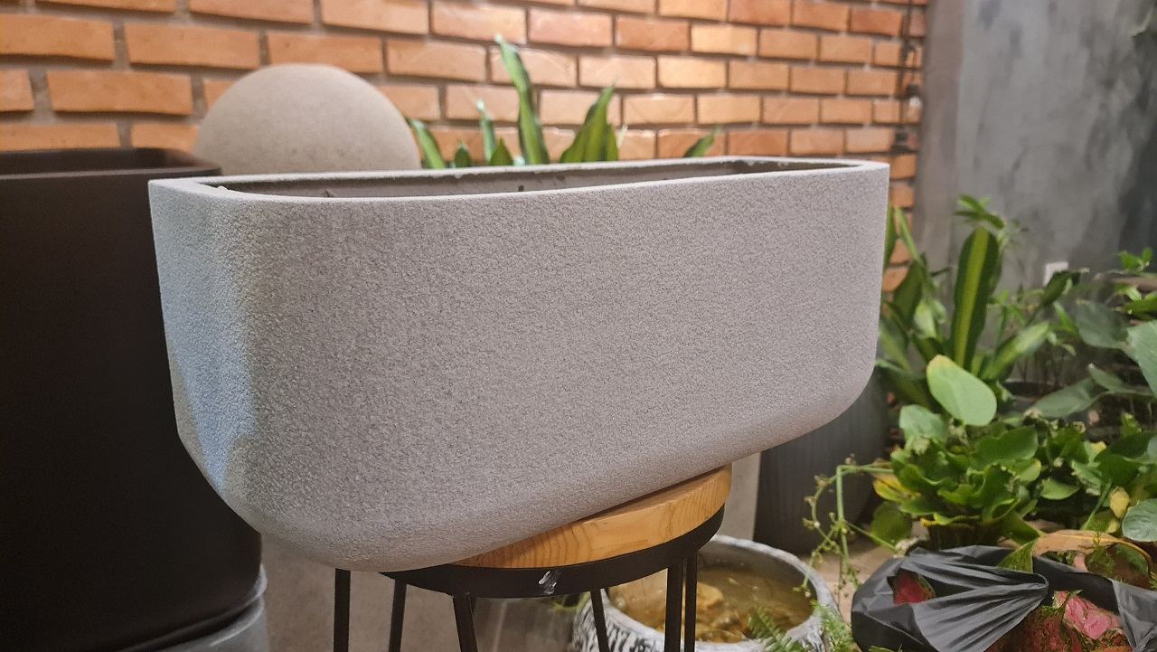 chau-treo-tuong-tuyet-dep