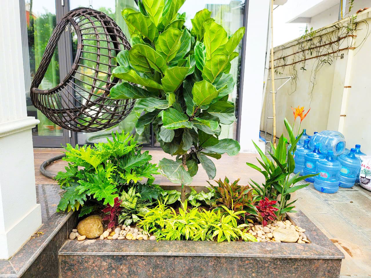 Sân vườn nhà phố