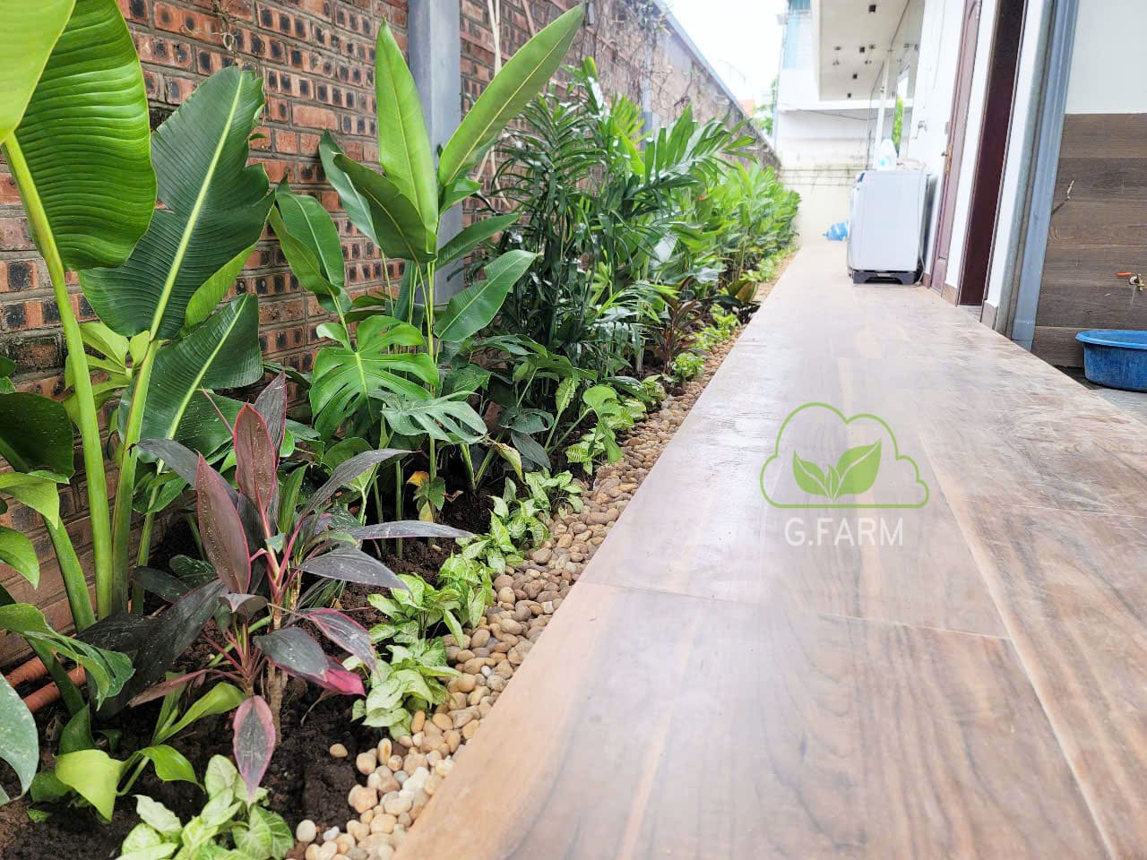 Sân vườn nhà phố