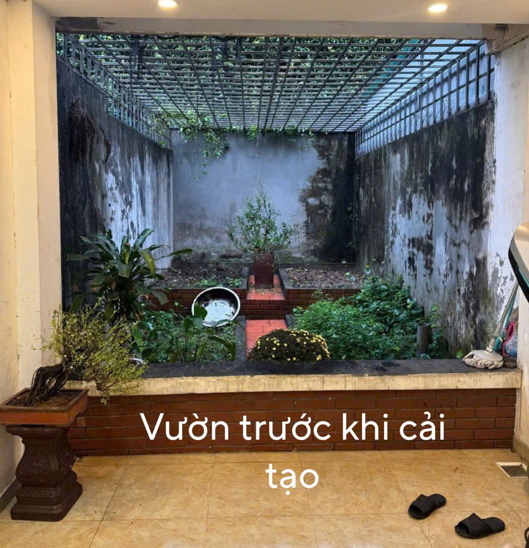 Cải tạo vườn rau