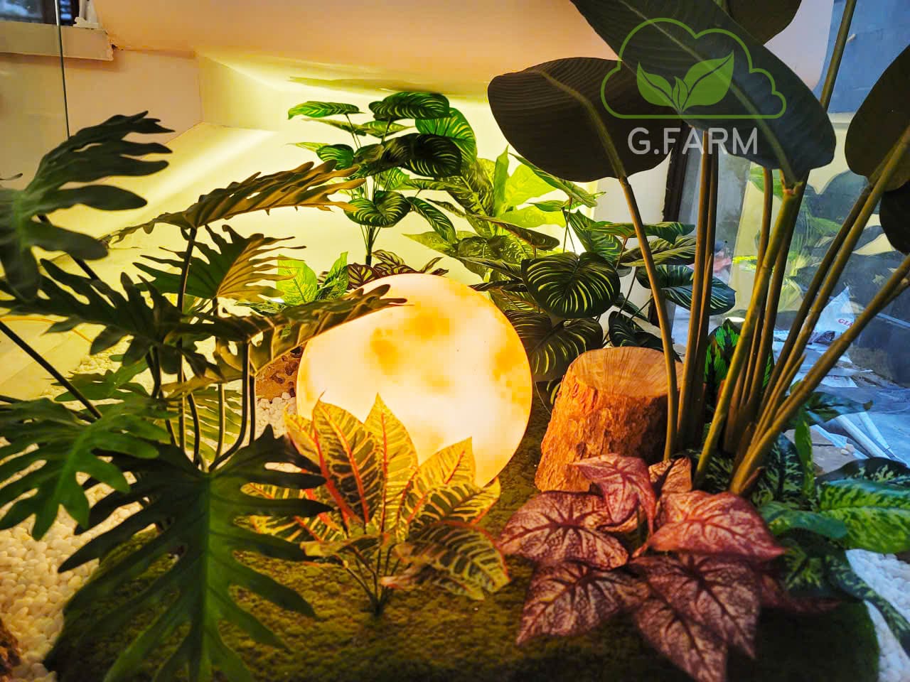 Tiểu cảnh giếng trời