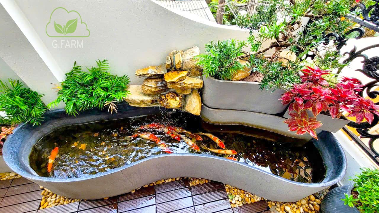 Sân vườn nhà phố