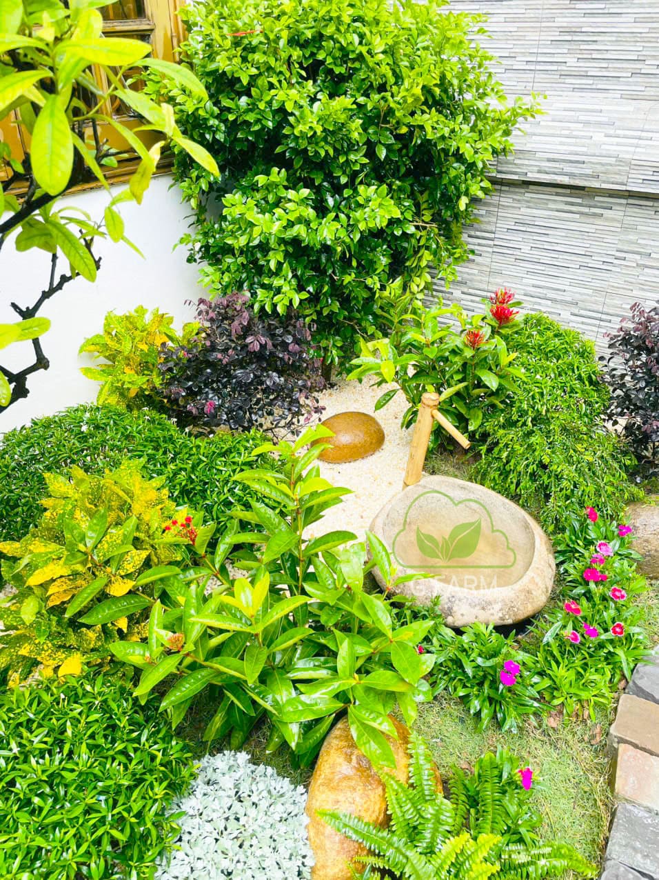 Sân vườn nhà phố