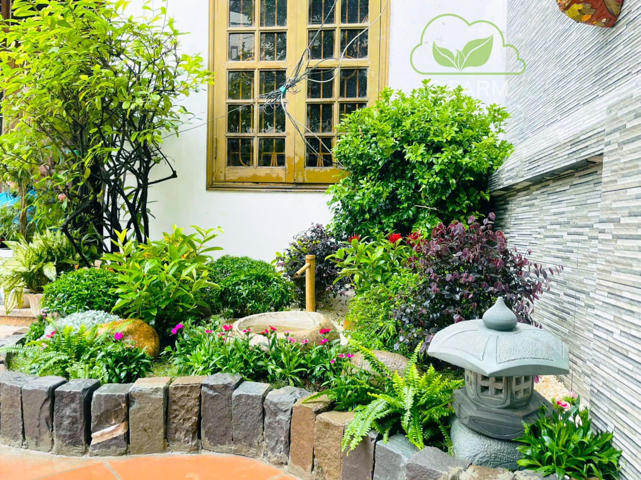 Sân vườn nhà phố