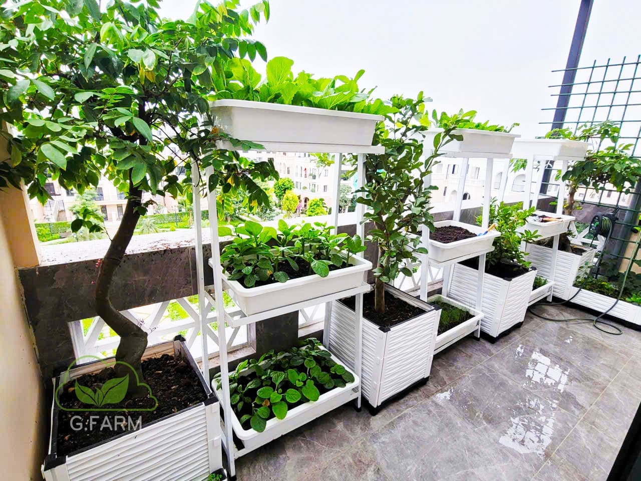 Thiết kế vườn rau