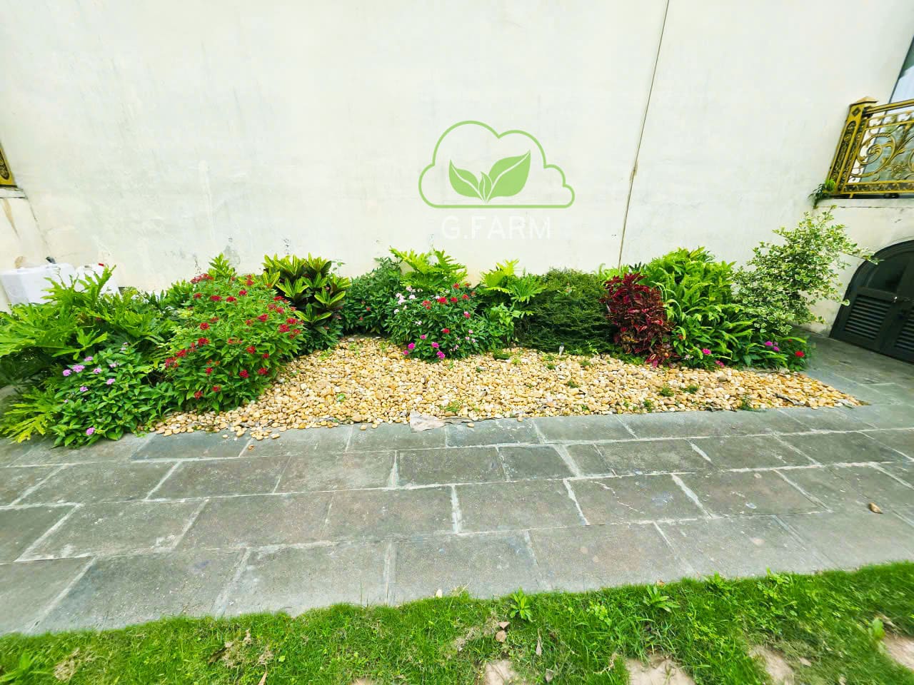 Sân vườn nhà phố