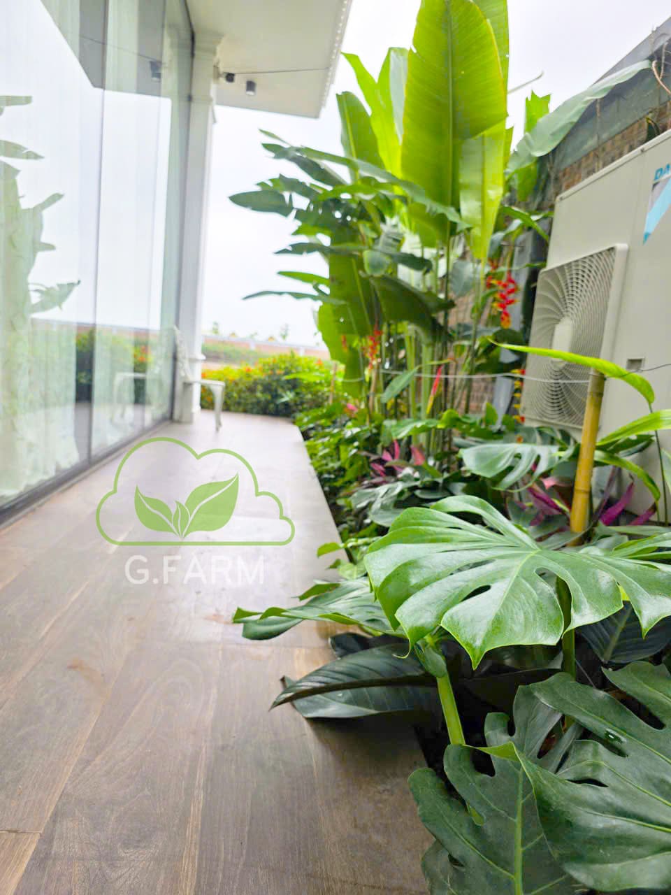 Sân vườn nhà phố