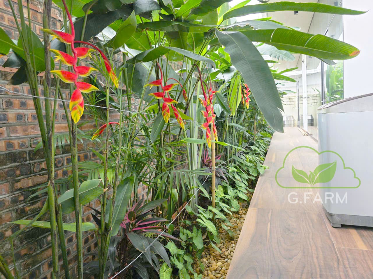 Sân vườn nhà phố