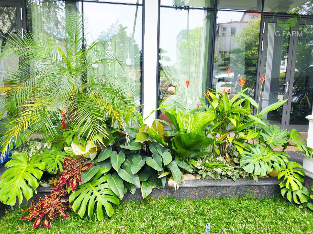 Sân vườn nhà phố