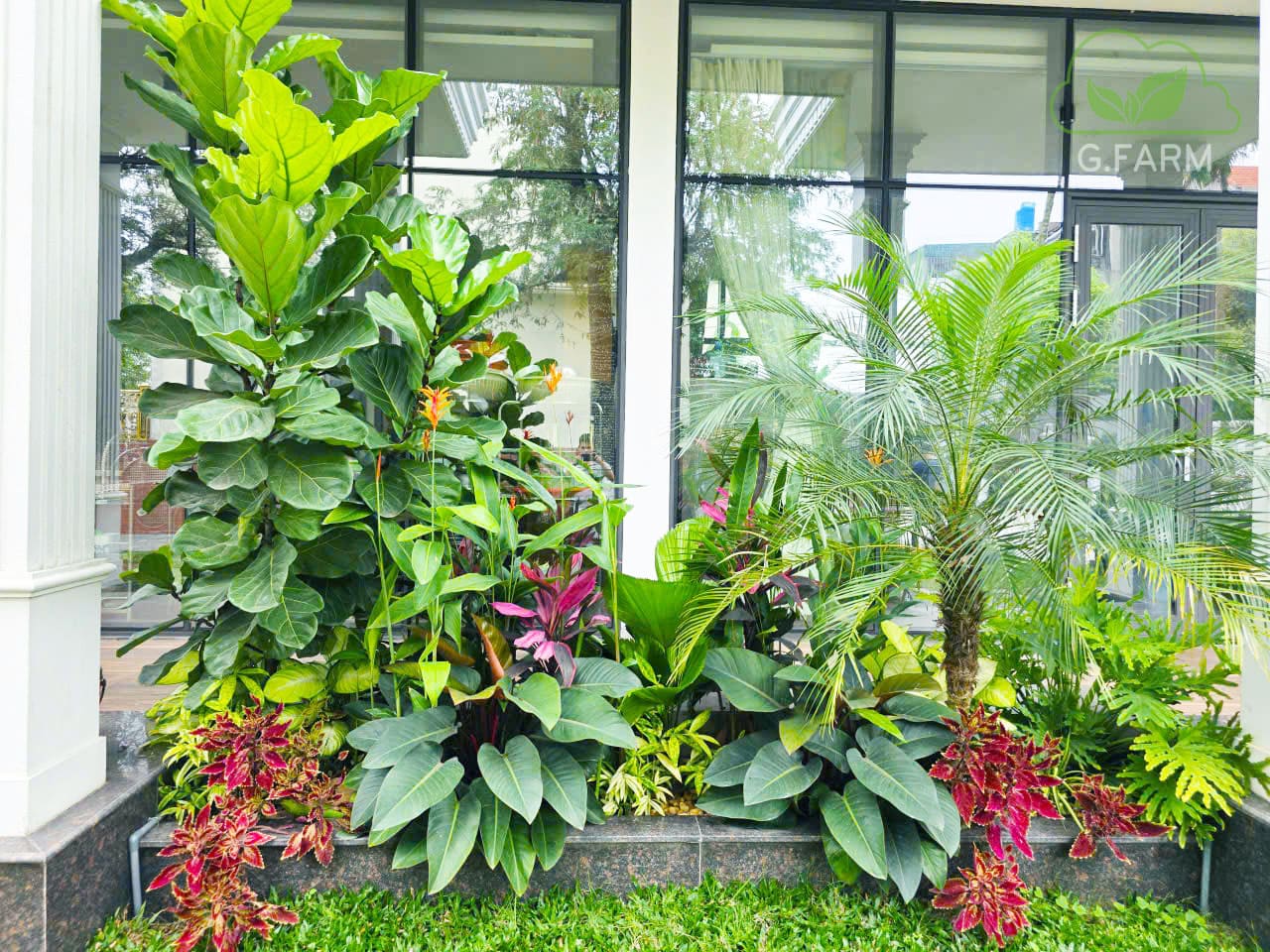 Sân vườn nhà phố