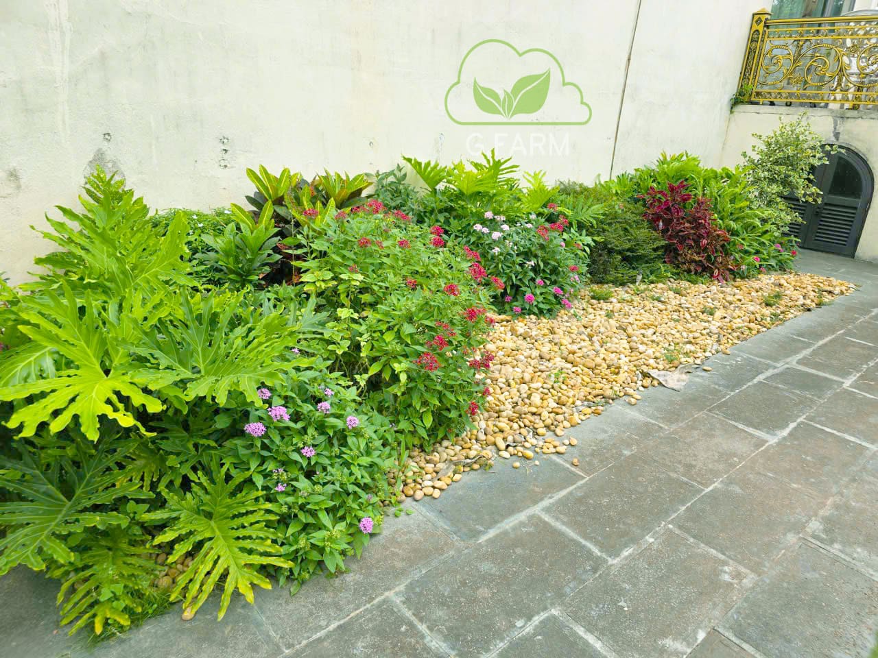 Sân vườn nhà phố