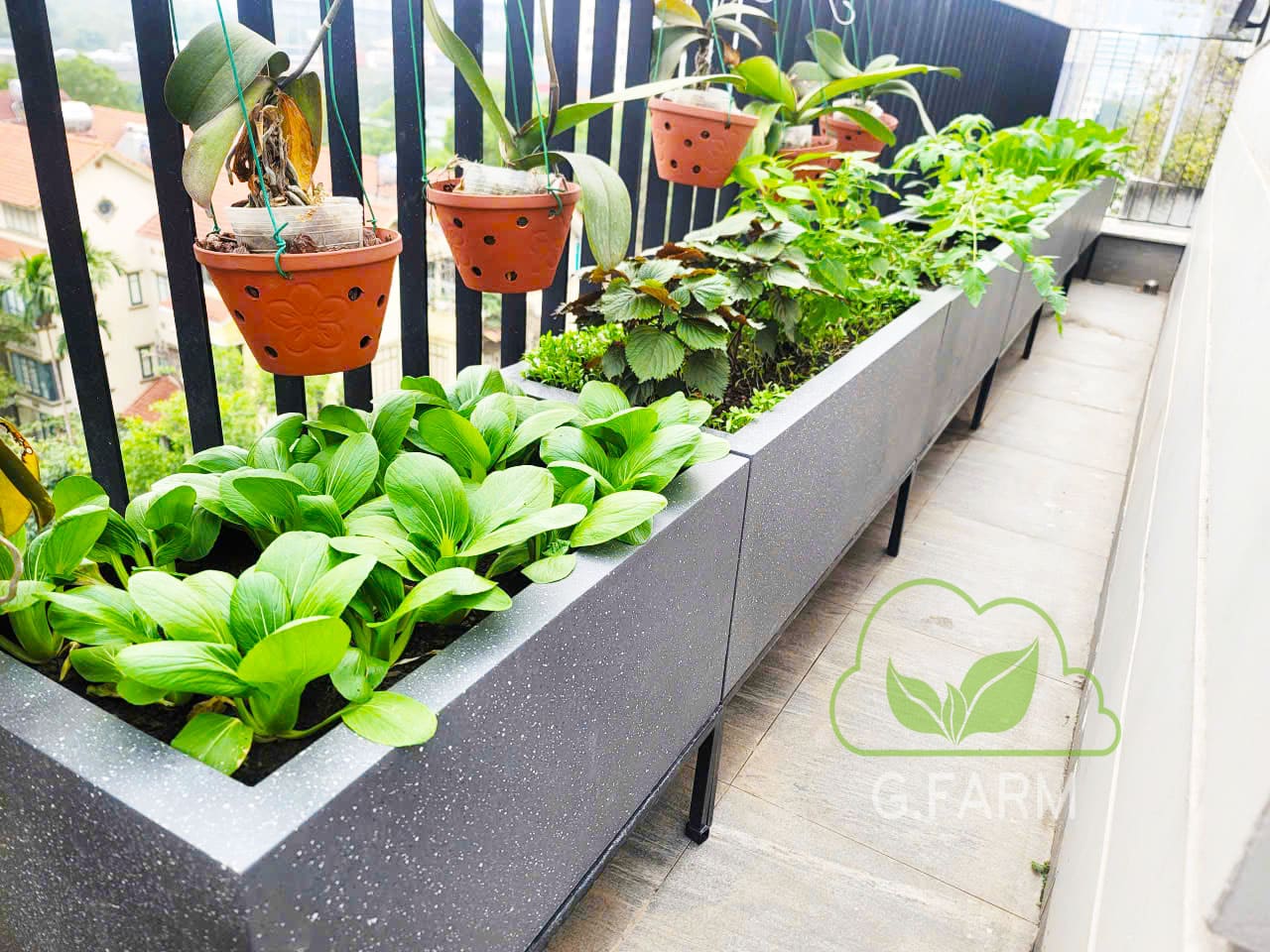 Thiết kế vườn rau