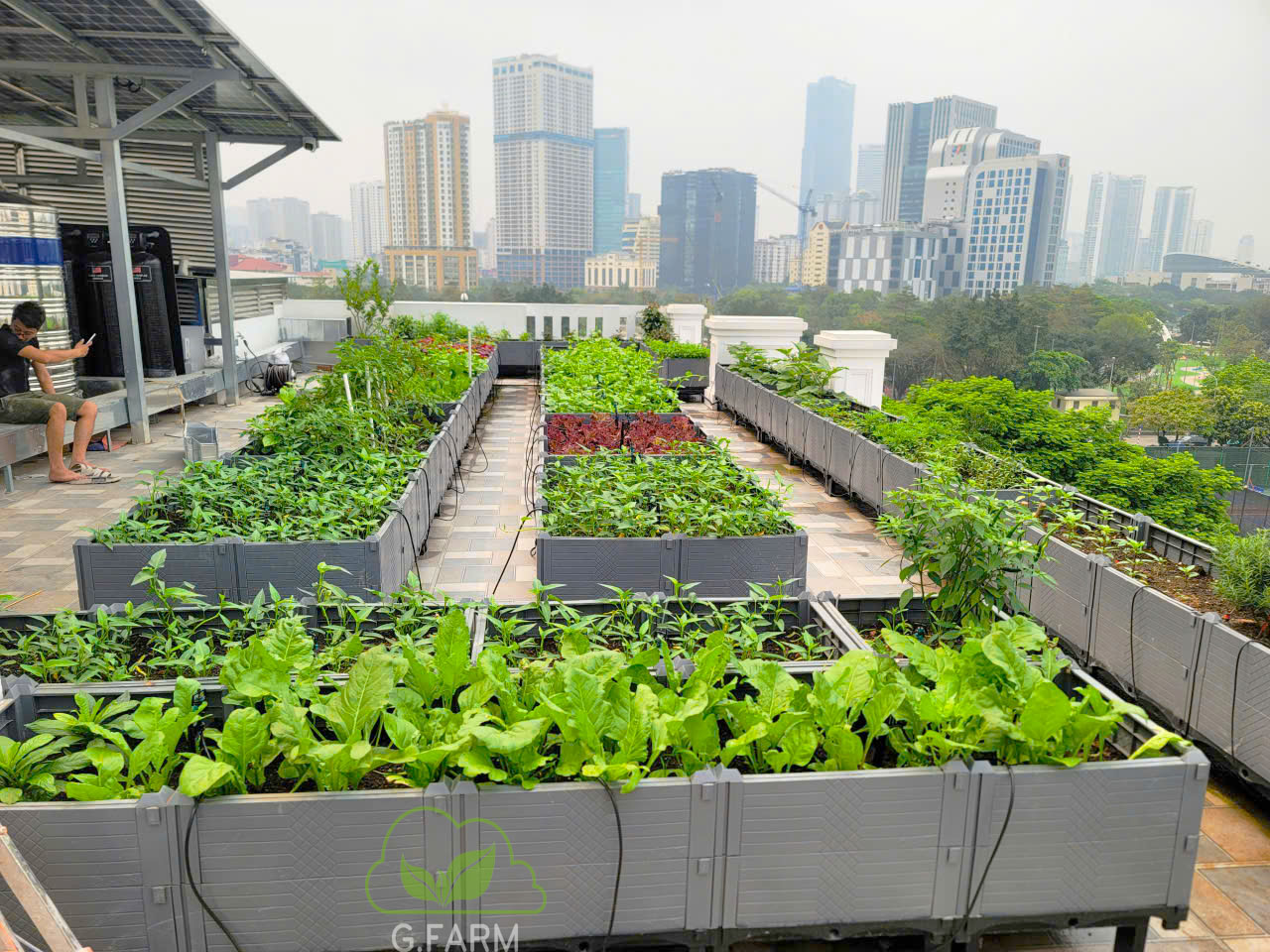 Thiết kế vườn rau