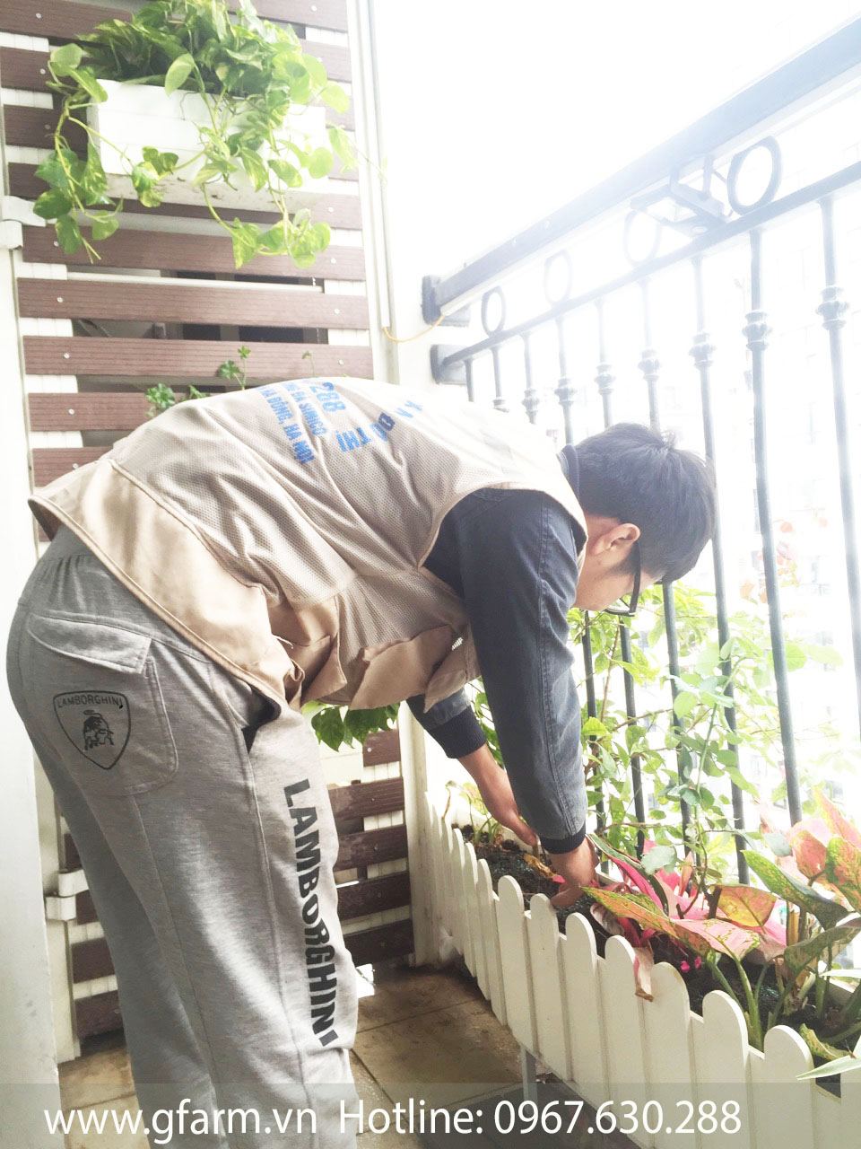 Dịch vụ chăm sóc vườn Gfarm