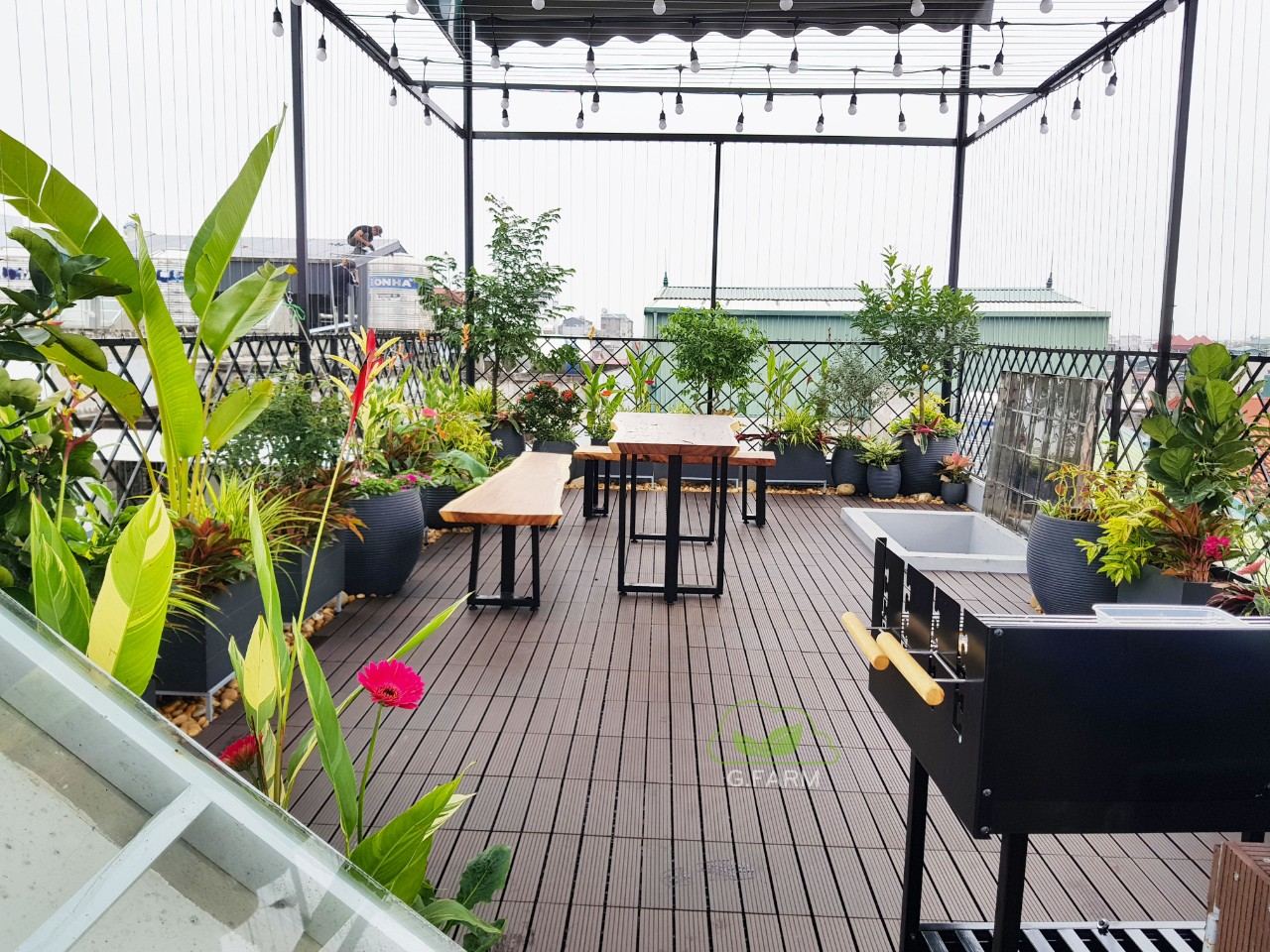 Vườn sân thượng đẹp gfarm