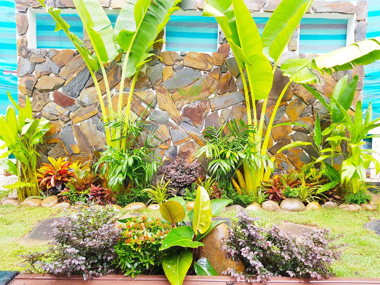 Thiết kê vườn Biệt thự Đồi Tùng Ecopark