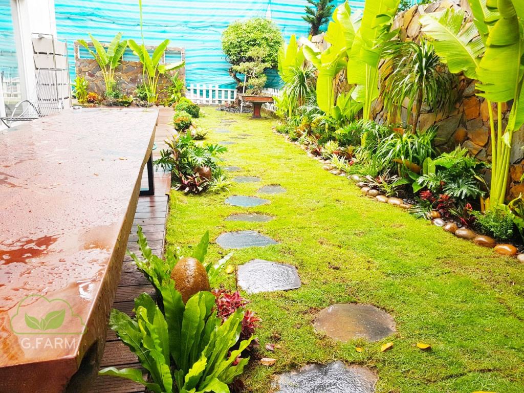 Thiết kê vườn Biệt thự Đồi Tùng Ecopark