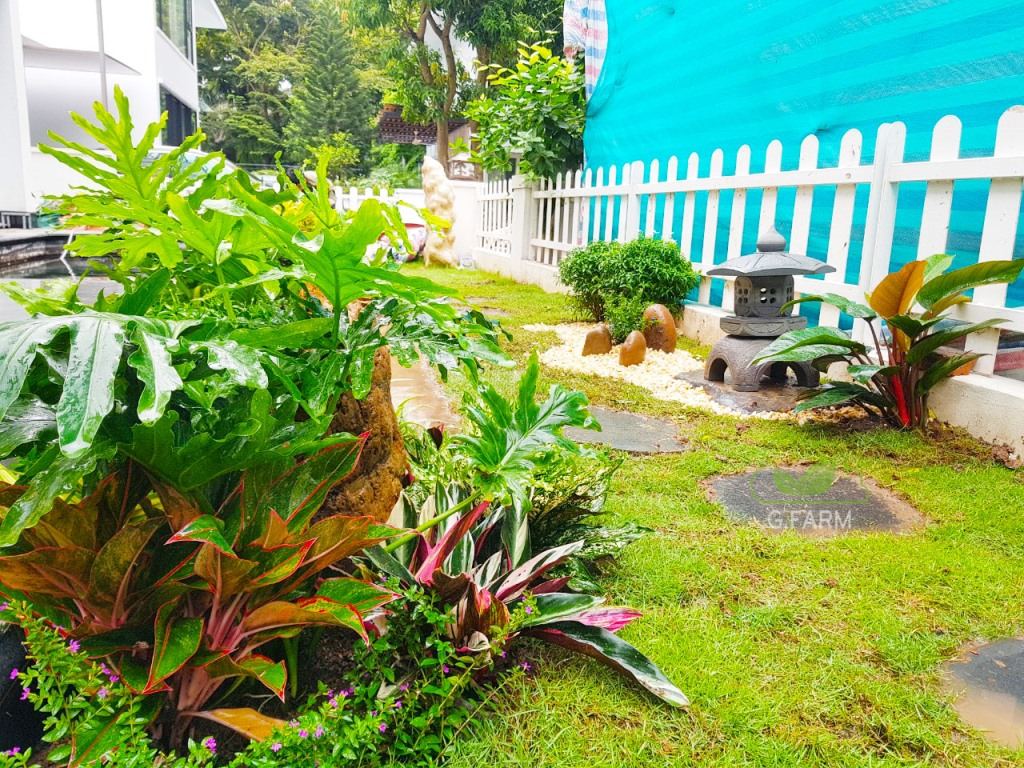 Thiết kê vườn Biệt thự Đồi Tùng Ecopark